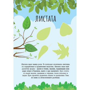 Уча и се забавлявам! Обичам природата + 60 стикера