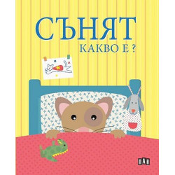 Сънят. Какво е? Сънят. Какво е?