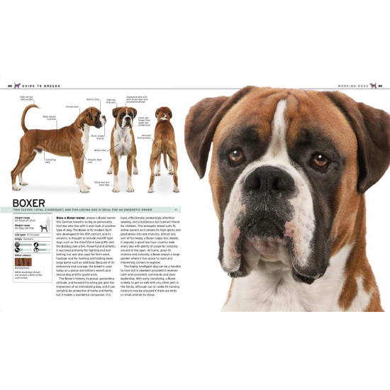 The Complete Dog Breed Guide