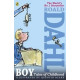 Boy: Tales of Childhood