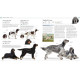 The Dog Encyclopedia