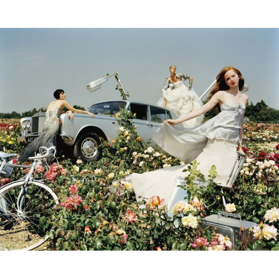 Pictures - Tim Walker