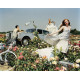 Pictures - Tim Walker