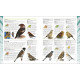 RSPB Birdwatching for Beginners