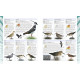 RSPB Birdwatching for Beginners