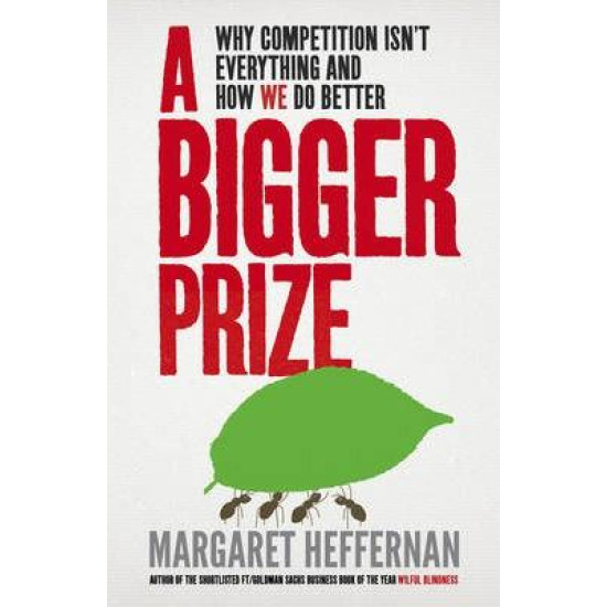 A Bigger Prize: Why Competition isn't Everything and How We Do Better