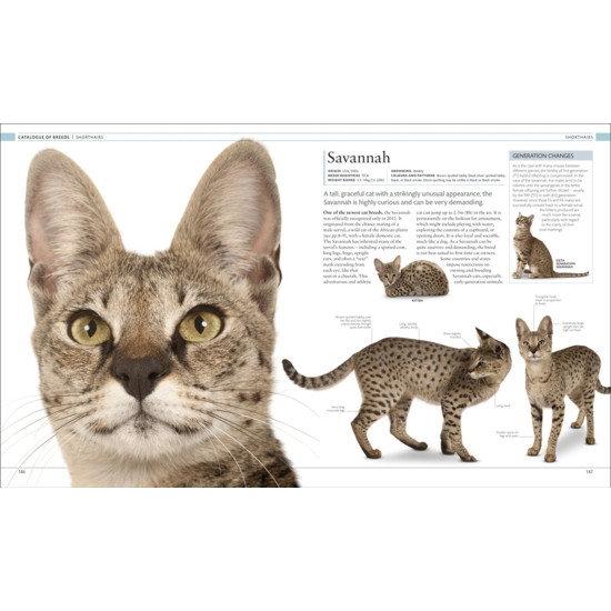 The Cat Encyclopedia