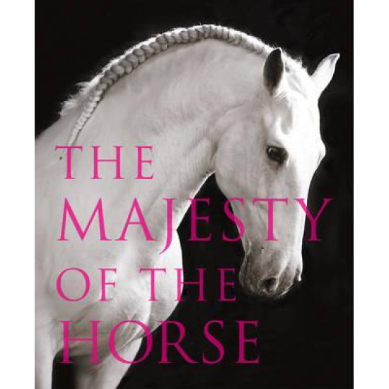 The Majesty of the Horse