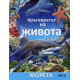 Кръговратът на живота - Морета