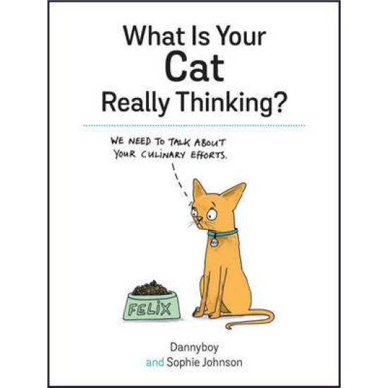 What is Your Cat Really Thinking?