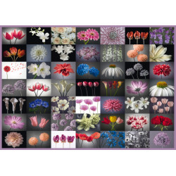 Пъзел Floral Greeting - 2000 Пъзел Floral Greeting - 2000