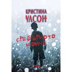 Сребърното момче Сребърното момче