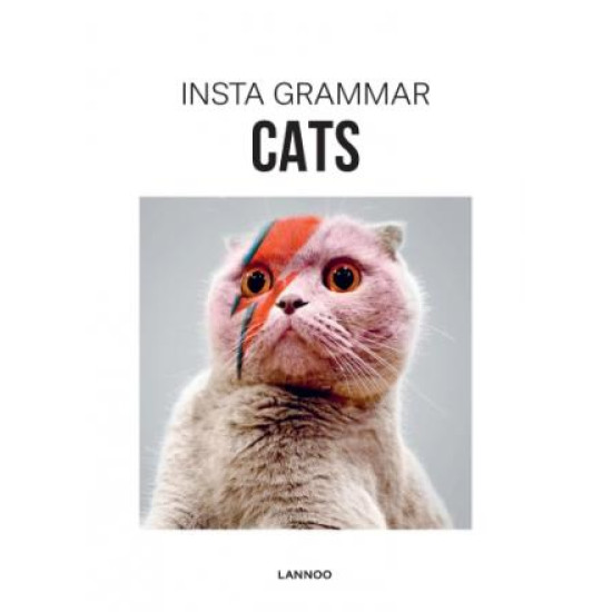 Insta Grammar: Cats