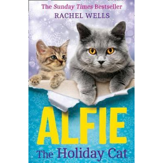 Alfie the Holiday Cat