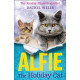 Alfie the Holiday Cat