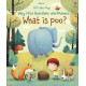 What is Poo?