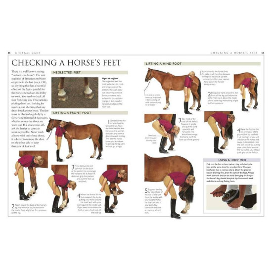 Complete Horse Care Manual