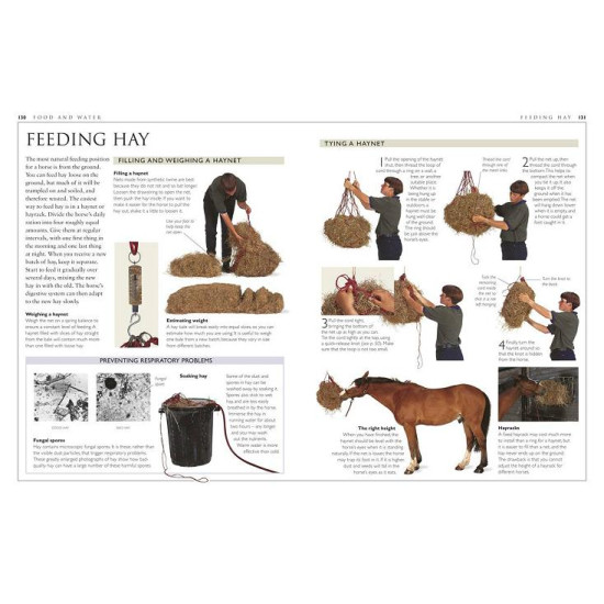 Complete Horse Care Manual