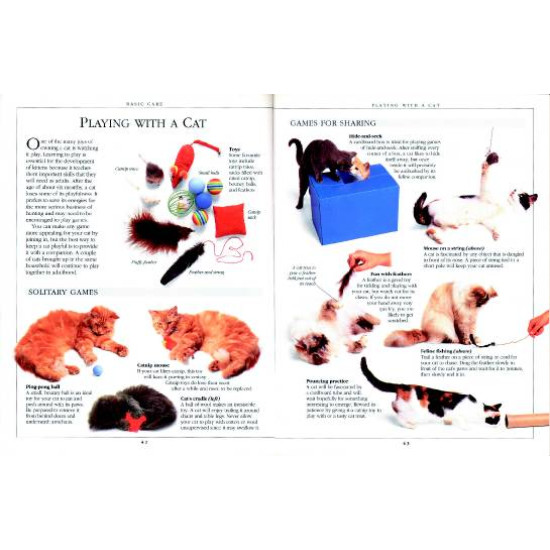 RSPCA Complete Cat Care Manual