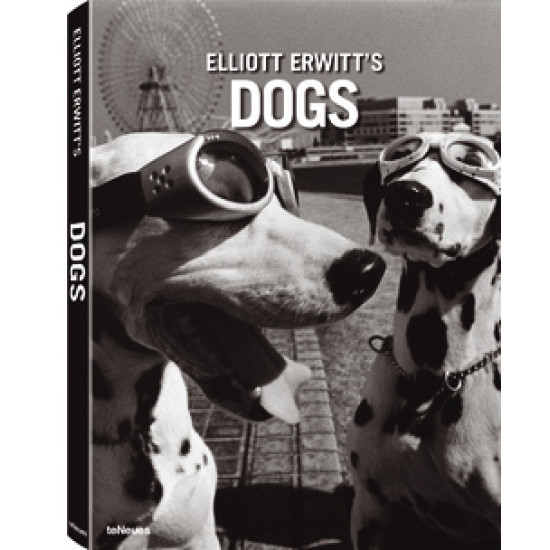 Elliott Erwitt’s Dogs